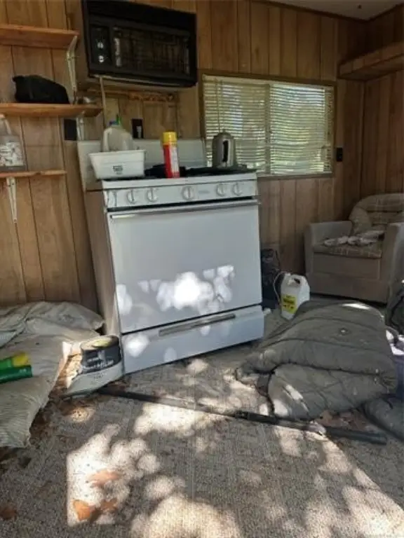 Picture 27