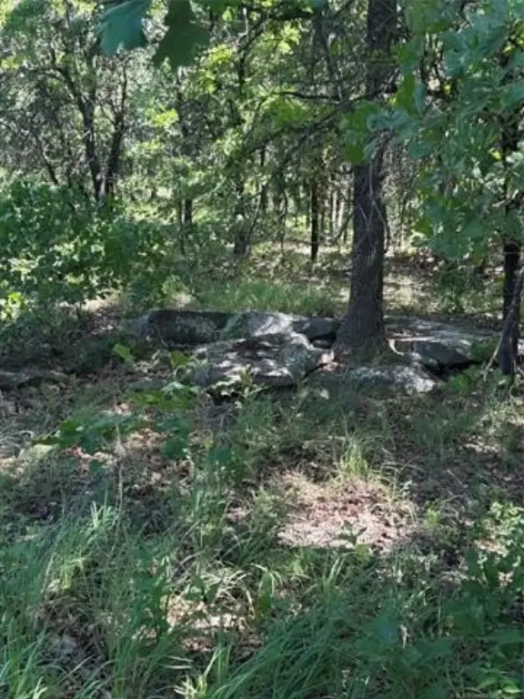 Picture 23
