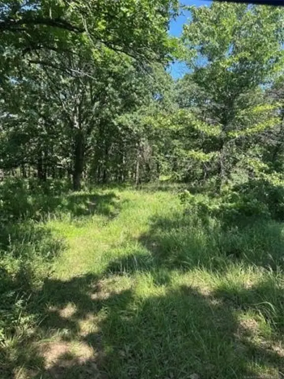 Picture 17