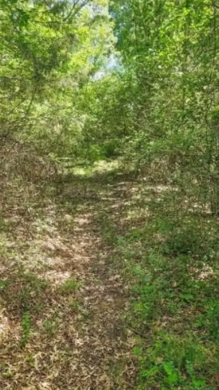 Picture 33