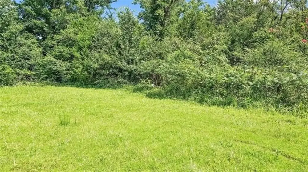 Picture 39