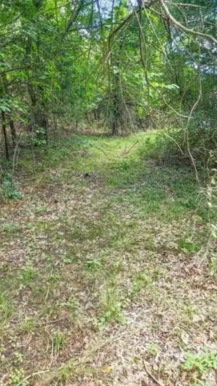 Picture 34