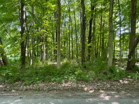 Undeveloped Land in Hudson Lake