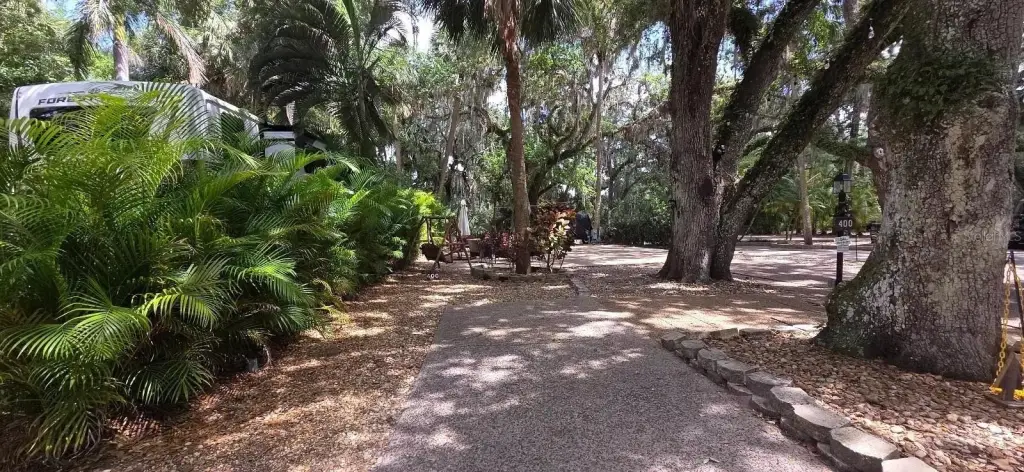 Picture 4