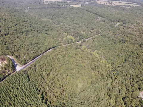 Higden Acreage Near Greers Ferry