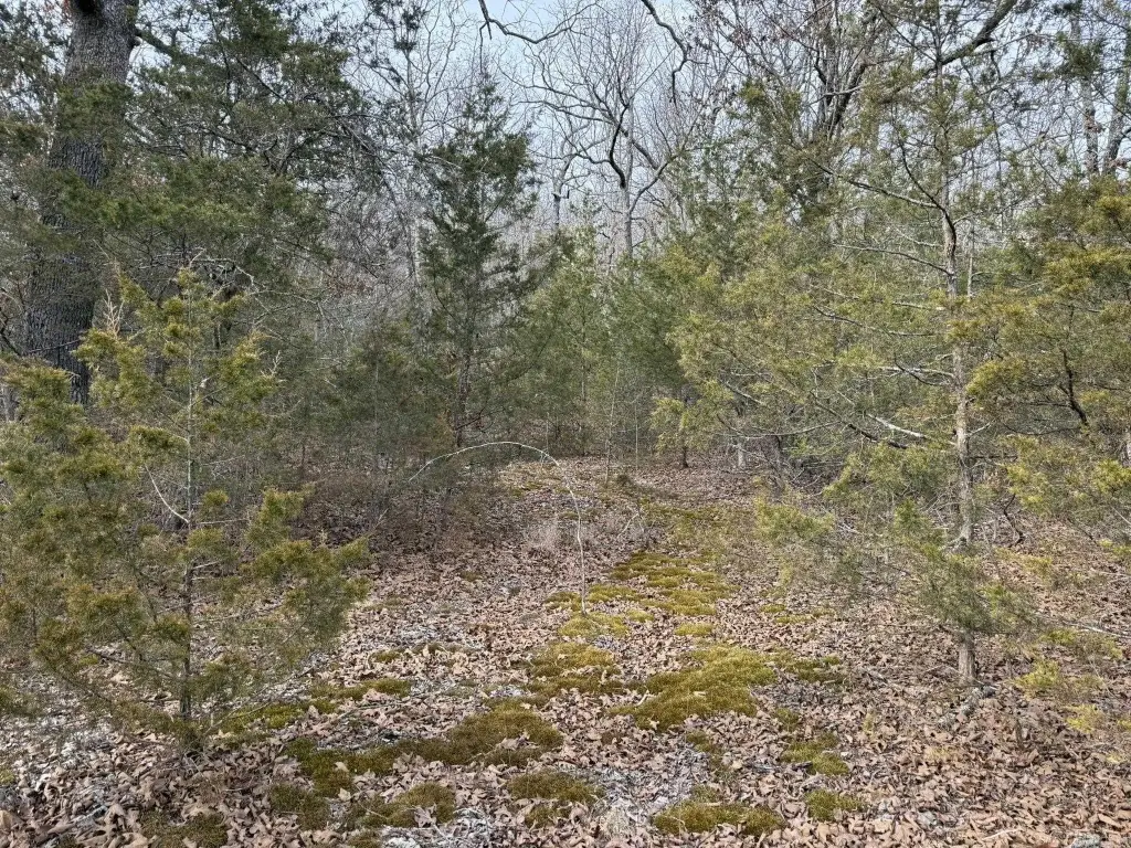 Picture 5
