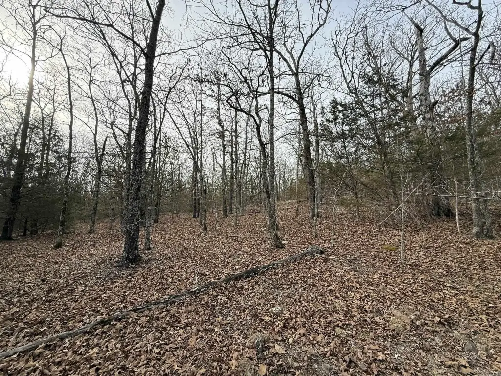 Picture 14