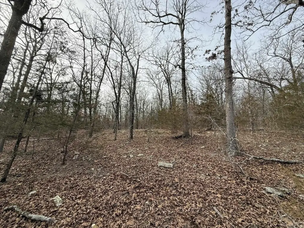 Picture 18