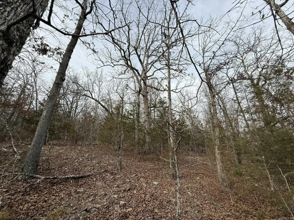 Picture 19