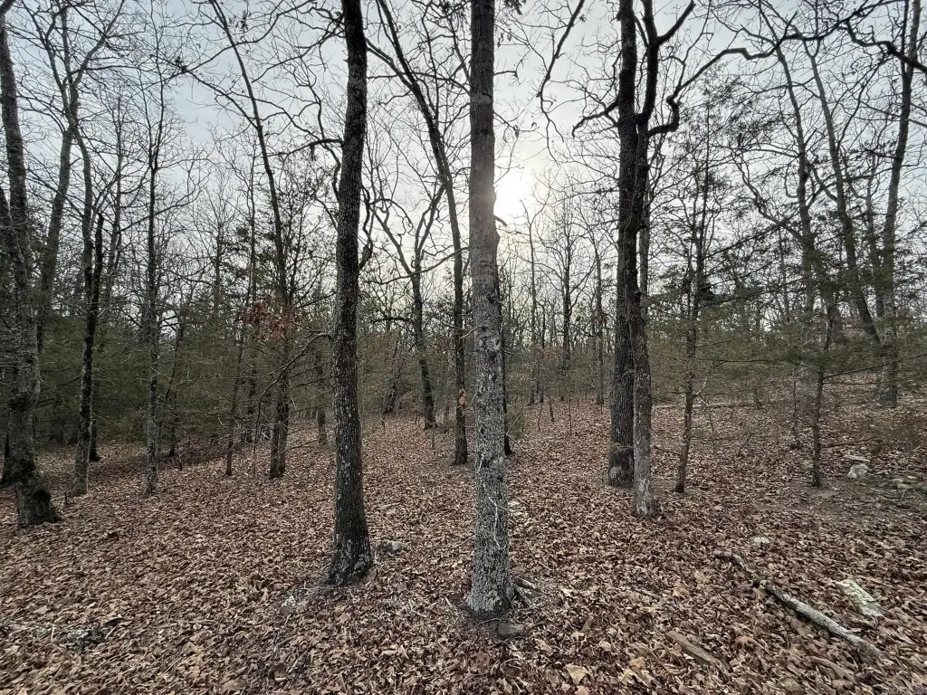 Picture 17