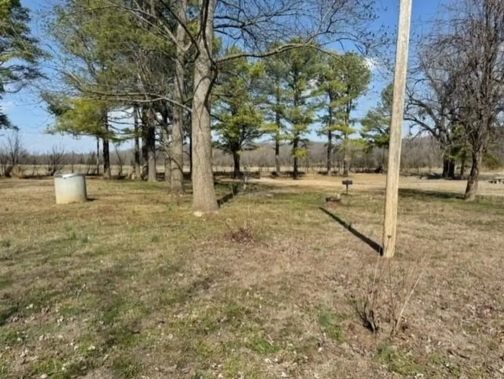 Picture 7