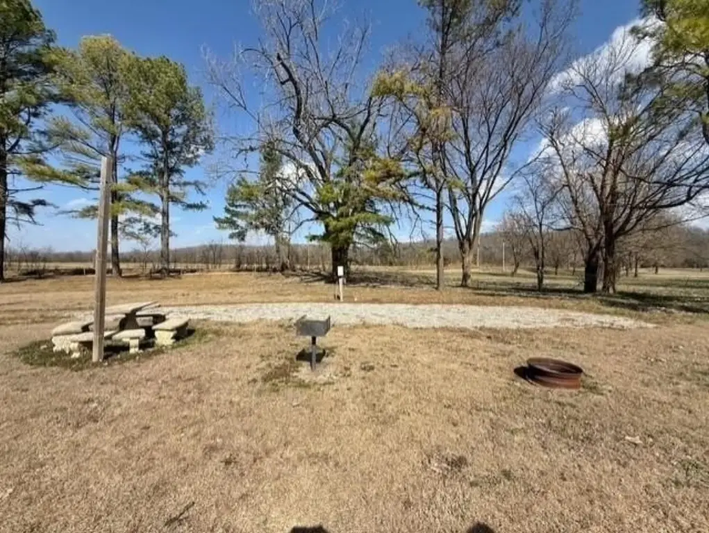 Picture 11