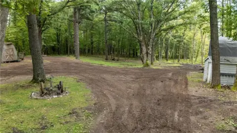 Wooded Land Near Lake Pokegama