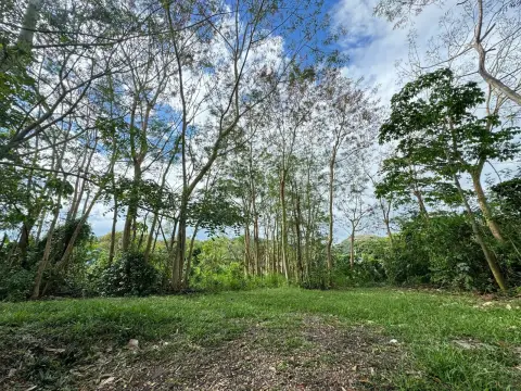 Flat Undeveloped Commercial Land