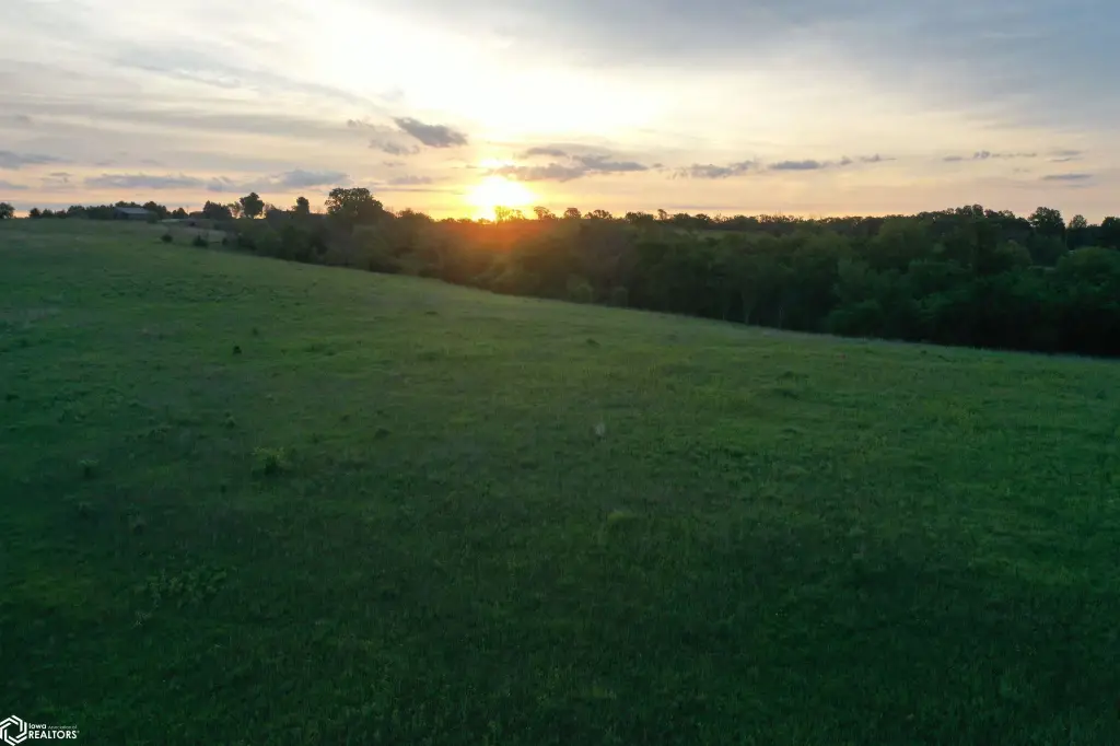 Picture 48