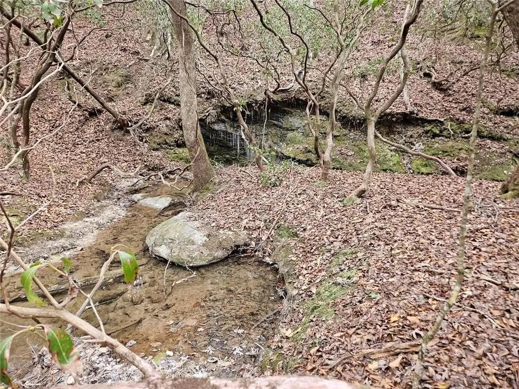Picture 18