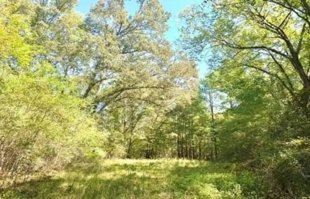 Picture 4