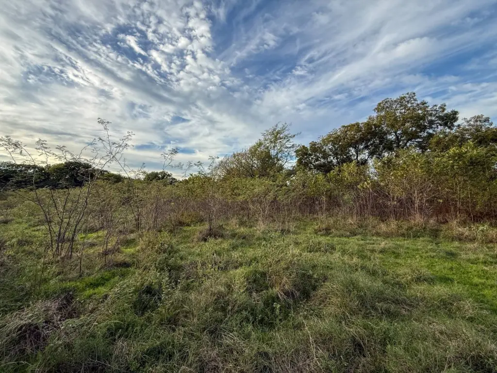 Picture 41