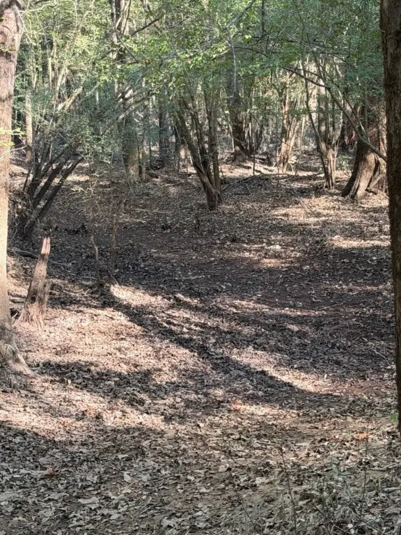 Picture 41