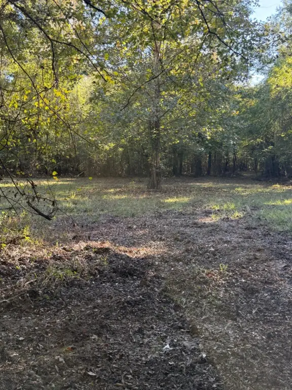 Picture 23