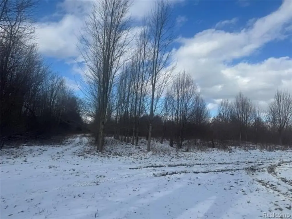 Picture 8