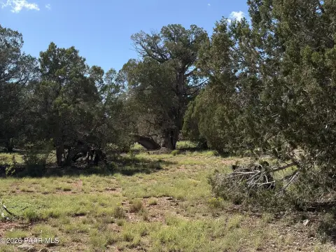 Wooded Recreational Land