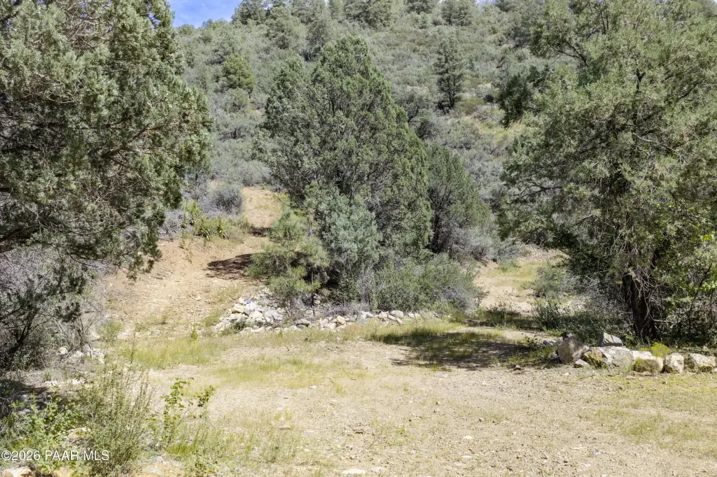 Picture 25