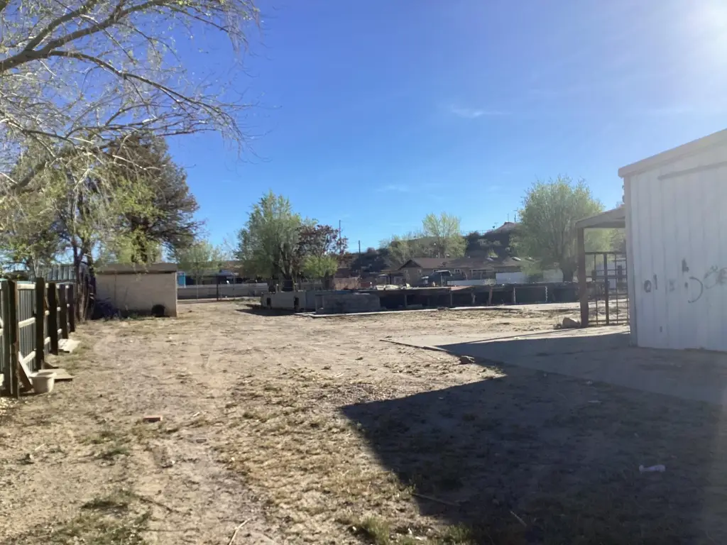 Picture 21