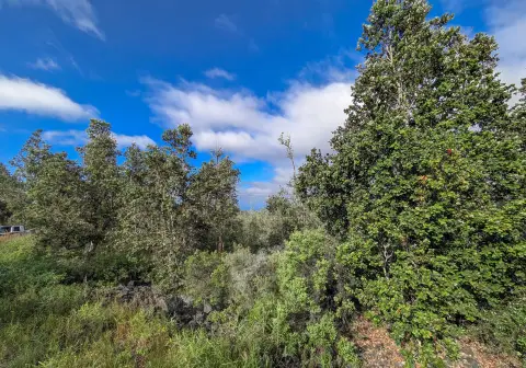 Ocean View Land For Sale