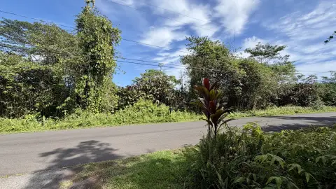 Leilani Estates Acreage Opportunity