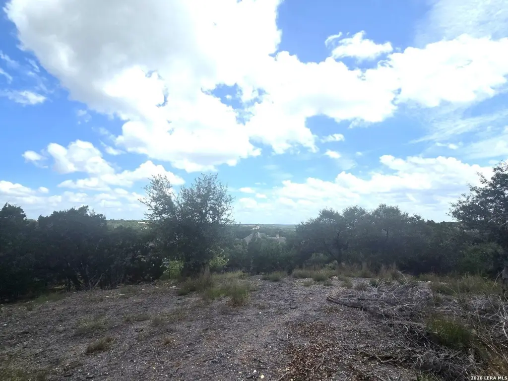 Picture 24