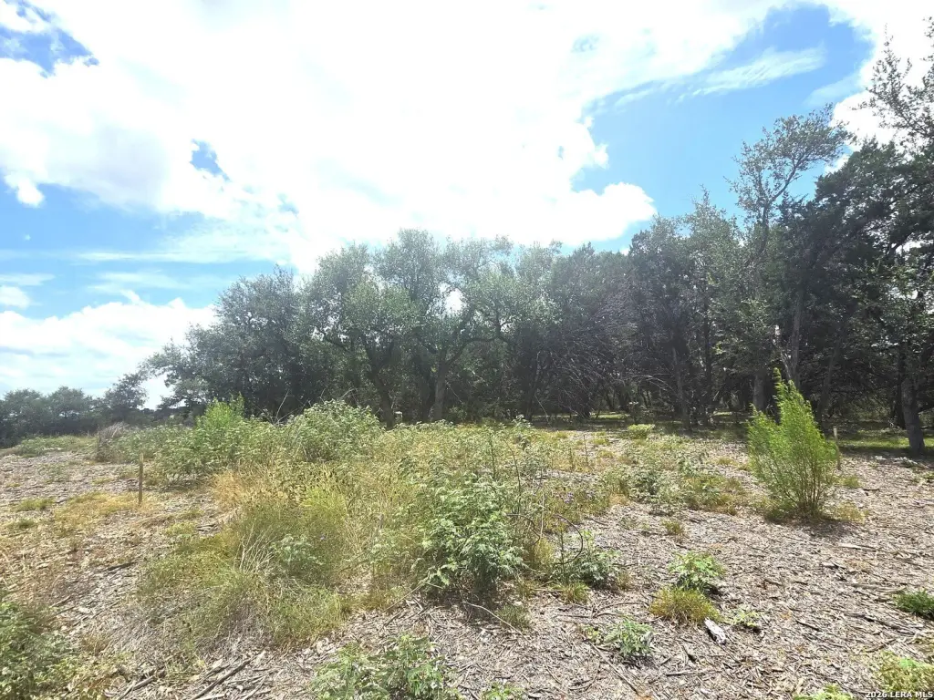Picture 18