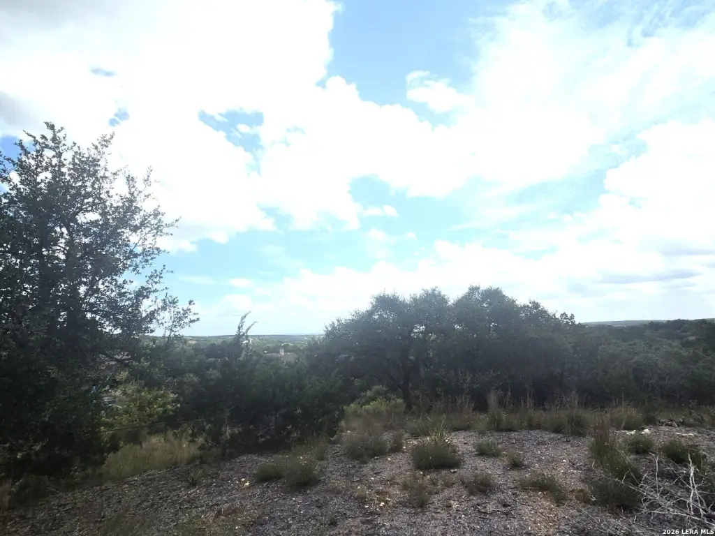 Picture 23