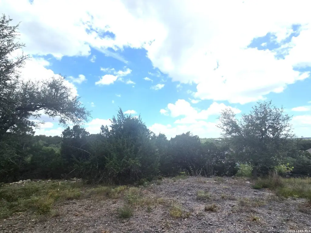 Picture 25