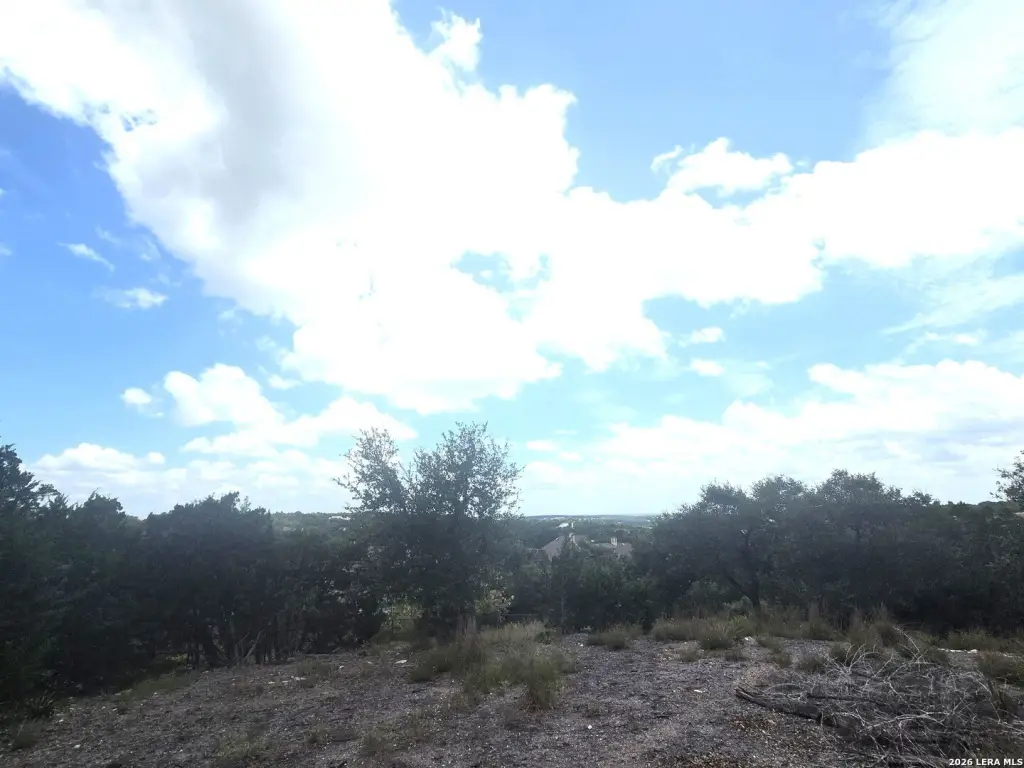 Picture 26
