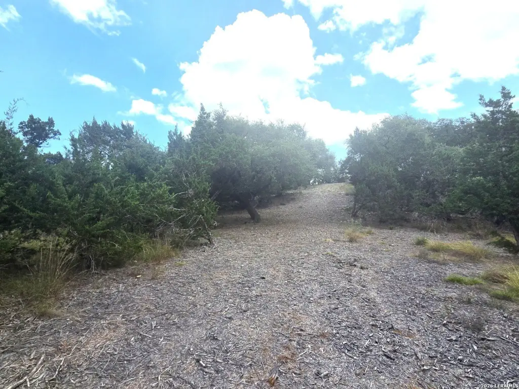 Picture 14
