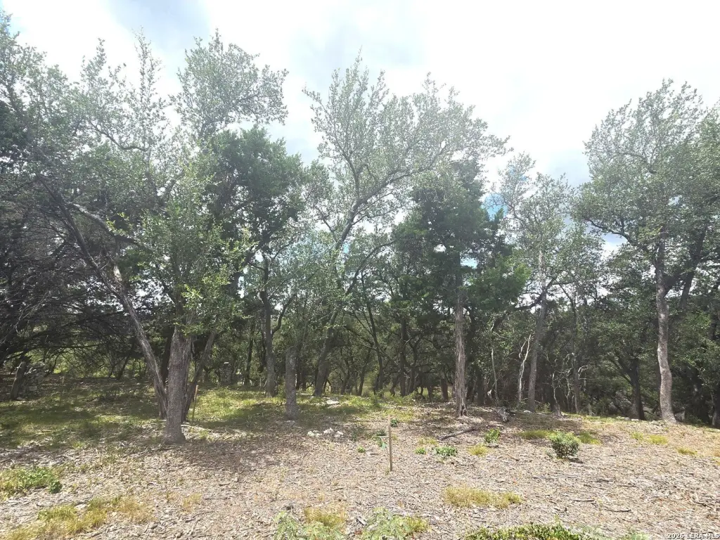 Picture 20
