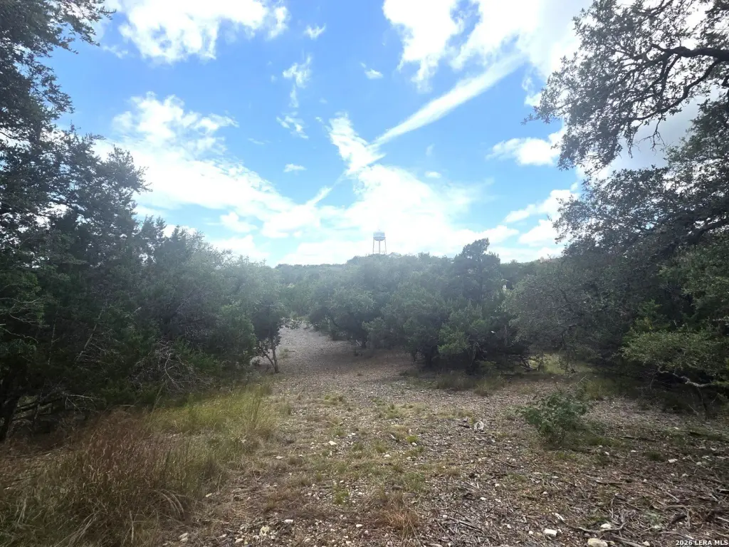 Picture 29