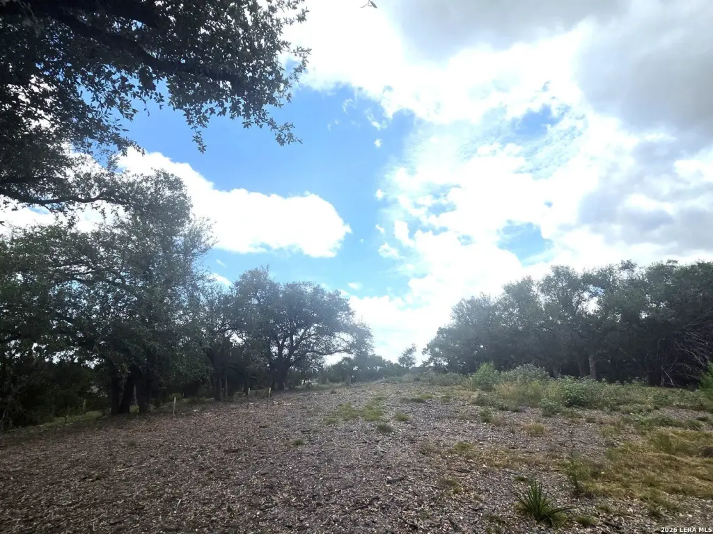 Picture 28