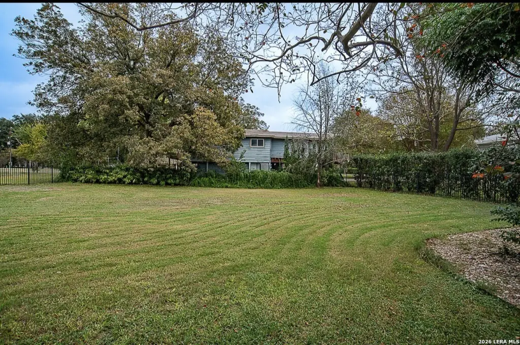 Picture 4