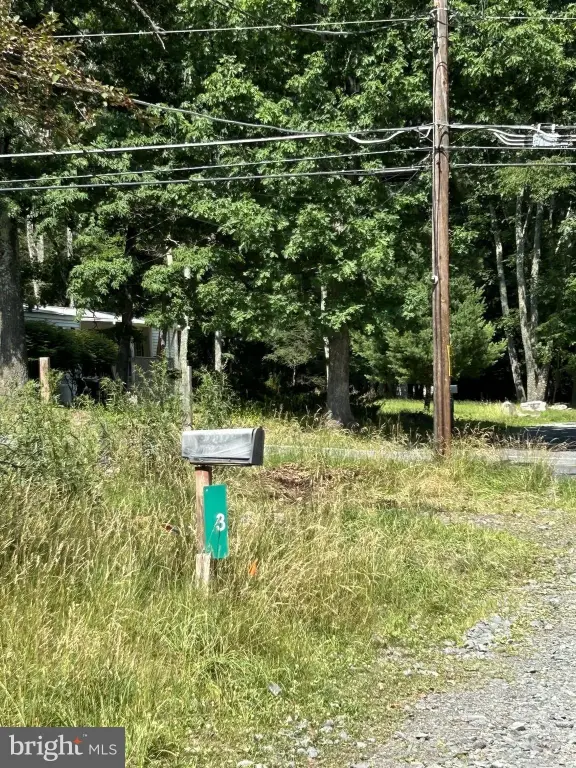 Picture 5