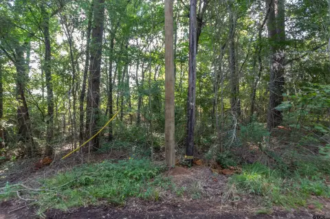 Secluded Lots in Tyler, TX