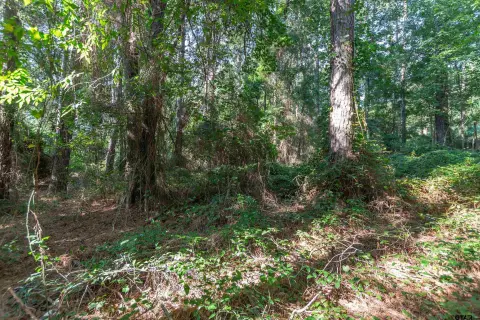 Tyler, TX Residential Land