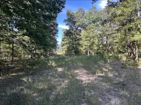Secluded Ozark Foothills Acreage