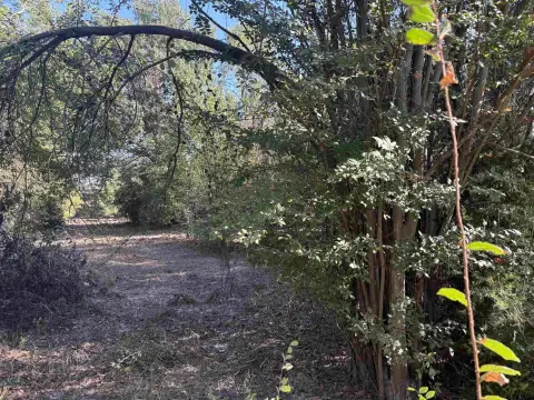 6 Acres in Brownsboro, TX