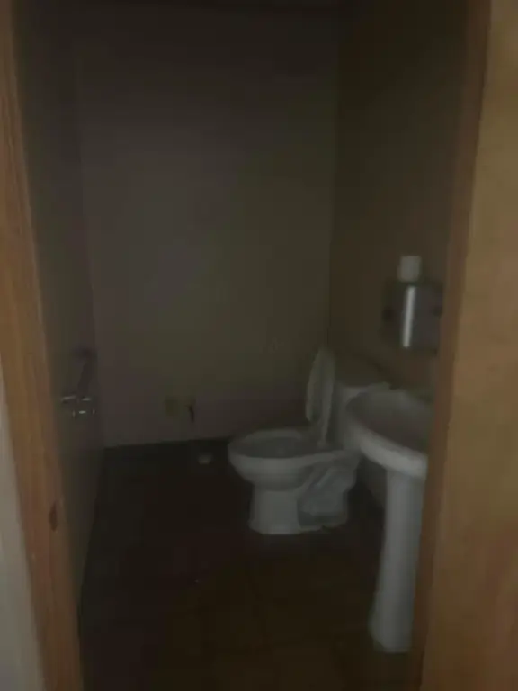 Picture 15