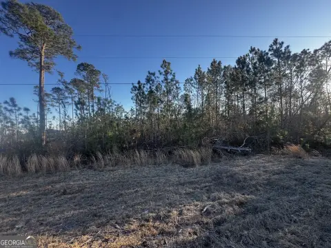 Denton, GA Land with Pond