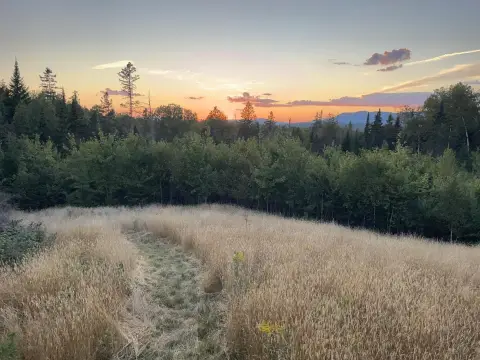 50 Acres Near Saddleback Access