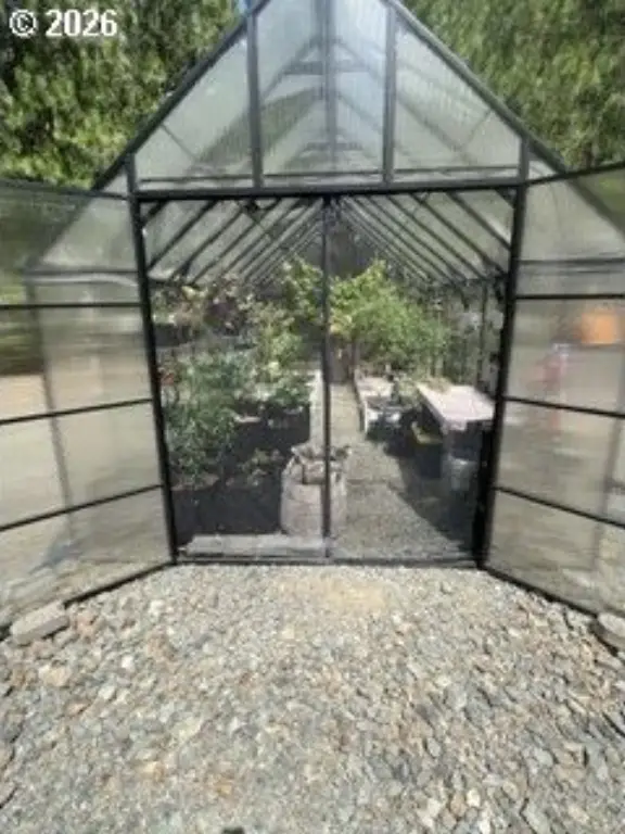 Picture 7
