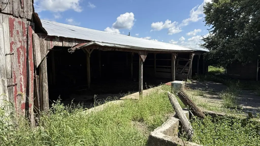 Picture 10